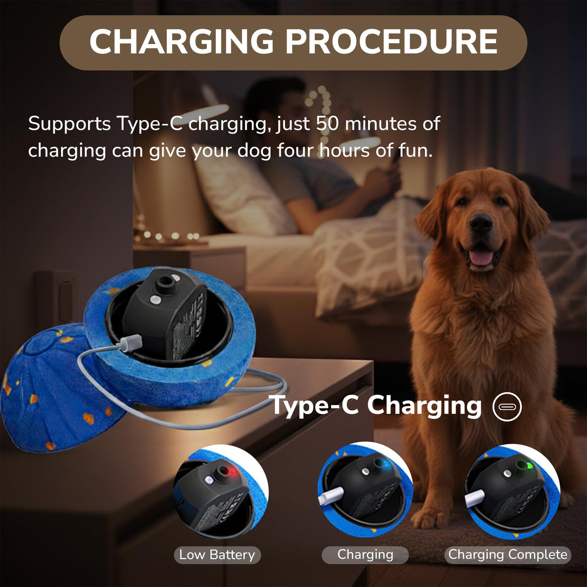 PAWLEXA ball USB-C charging for quick recharge.