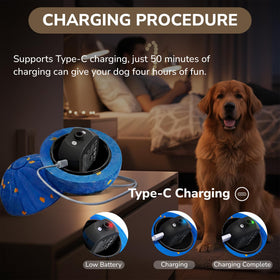 PAWLEXA ball USB-C charging for quick recharge.