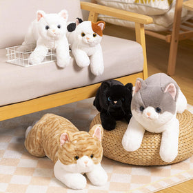 PEACH CAT Calico Cat Plush vacuum-pack concept for safe shipping and storage