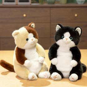 PEACH CAT black cat plush with cute kitten expression, inviting and friendly.