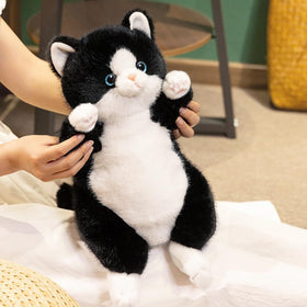 PEACH CAT plush fabric close-up reveals premium softness and precise stitching.