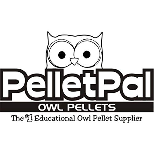 PelletPal homeschool science setup for at-home experiments