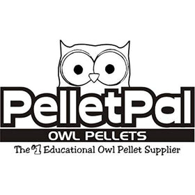 PelletPal homeschool science setup for at-home experiments
