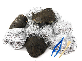 PelletPal premium barn owl pellets pack 10 for hands-on learning in classrooms