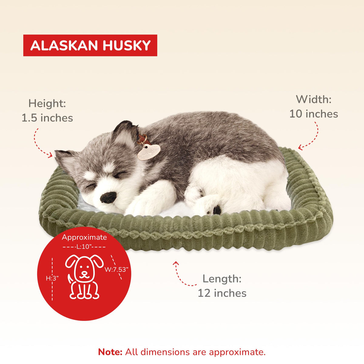Perfect Petzzz Alaskan Husky size dimensions show a compact, portable companion.