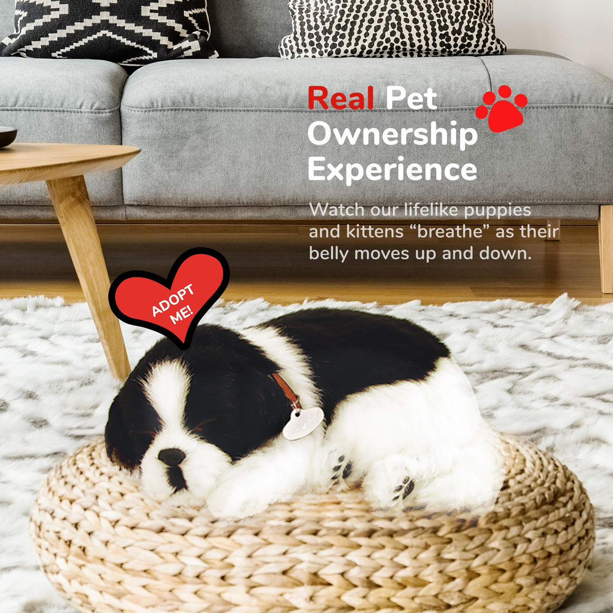 Perfect Petzzz Border Collie battery-operated design for long-lasting companionship