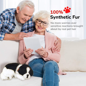 Perfect Petzzz Border Collie in living room setting for everyday accessibility