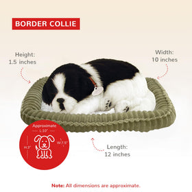 Perfect Petzzz Border Collie interactive play demonstrates battery-powered motion