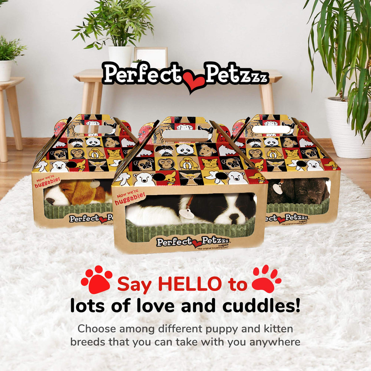 Perfect Petzzz Border Collie packaging box illustrates gifting and unboxing