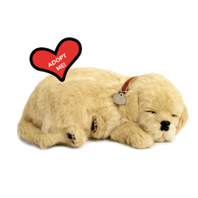 Perfect Petzzz Golden Retriever breathing feature on plush for realistic companionship.