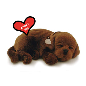 Perfect Petzzz Chocolate Lab breathing feature for lifelike companionship.