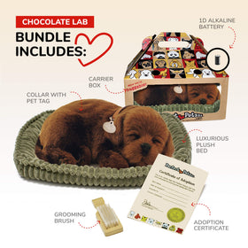 Perfect Petzzz Chocolate Lab interactive plush encourages easy, mess-free care.
