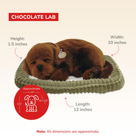 Perfect Petzzz Chocolate Lab synthetic fur avoids allergens while remaining cuddly.