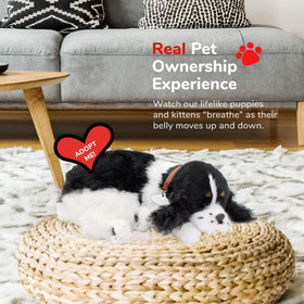 Perfect Petzzz Cocker Spaniel no-mess care scenario for everyday calm.