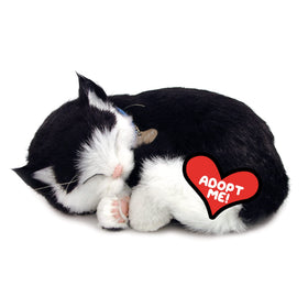 Perfect Petzzz kitten breathing detail shows lifelike movement for a realistic companion.