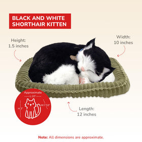Perfect Petzzz kitten life-size model offers authentic size without real-pet commitments.