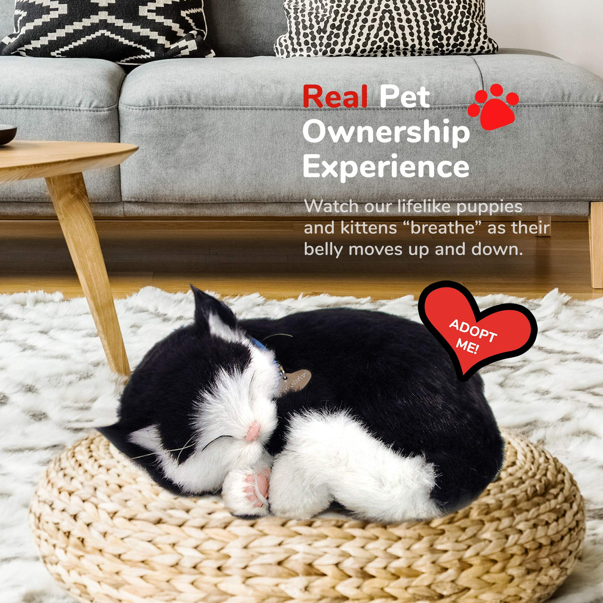 Perfect Petzzz kitten no-mess design makes maintenance-free companionship.