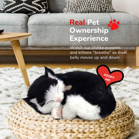 Perfect Petzzz kitten no-mess design makes maintenance-free companionship.
