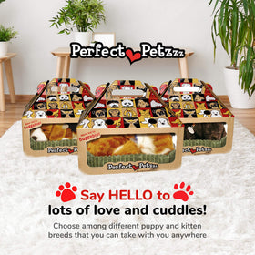 Perfect Petzzz Orange Tabby Cat care and cleaning reference