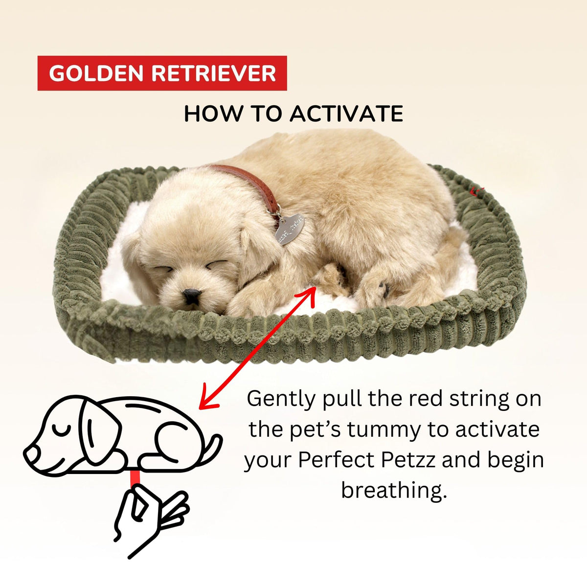 Perfect Petzzz realistic eyes detail shows lifelike expression.