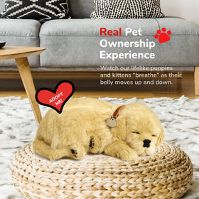 Perfect Petzzz ten-inch plush size fits small spaces.