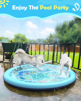 Peteast splash pad with dogs enjoying the water fountain