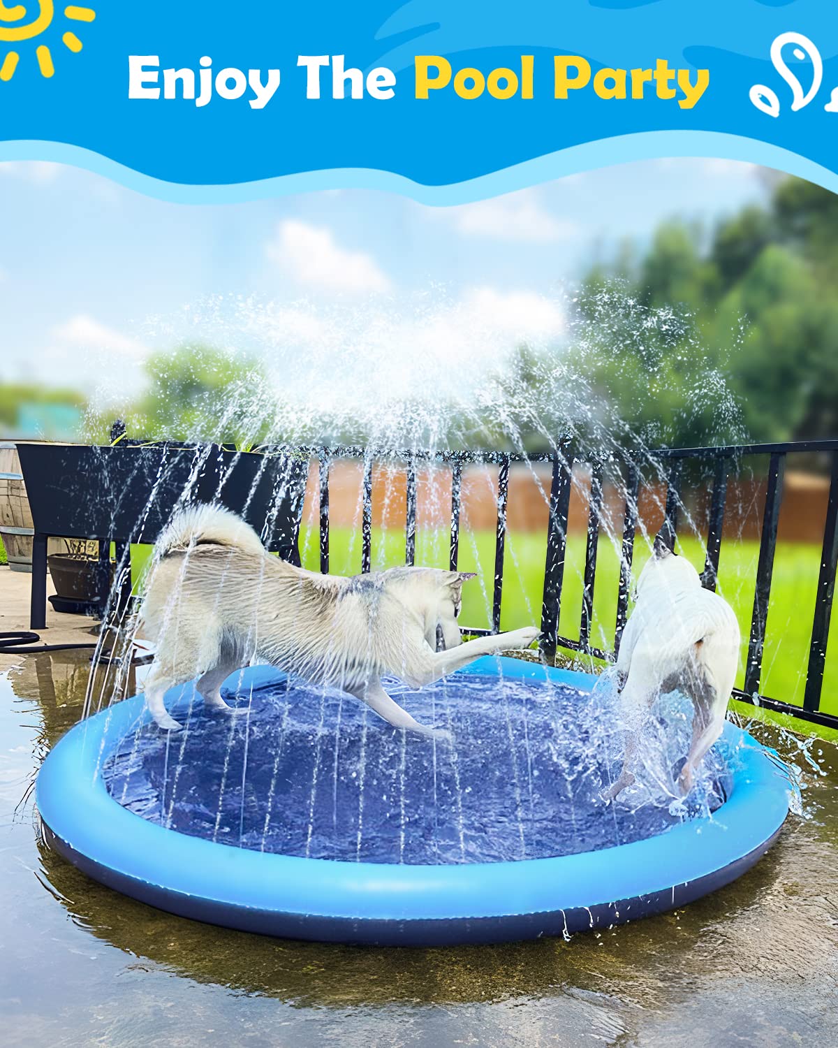Peteast splash pad with a large dog playing in the cool spray.