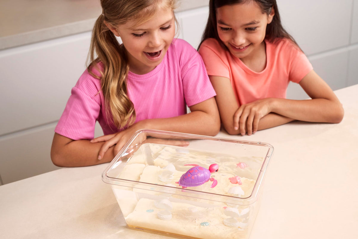 Pets Alive baby turtles emerging, inviting curious pretend-plays and family storytelling.