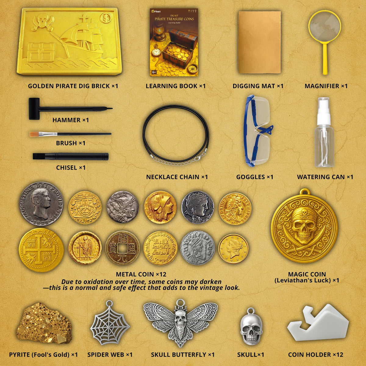 PIBEX coin display holders showcase treasures neatly after digging sessions.