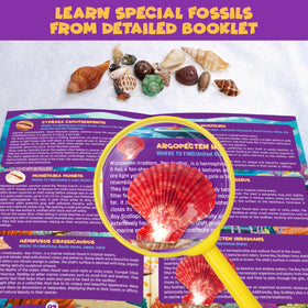 PIBEX marine archaeology activity boosts hands-on curiosity at home or class.