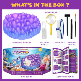 PIBEX engaging STEM toy supports exploration across ages six to twelve.