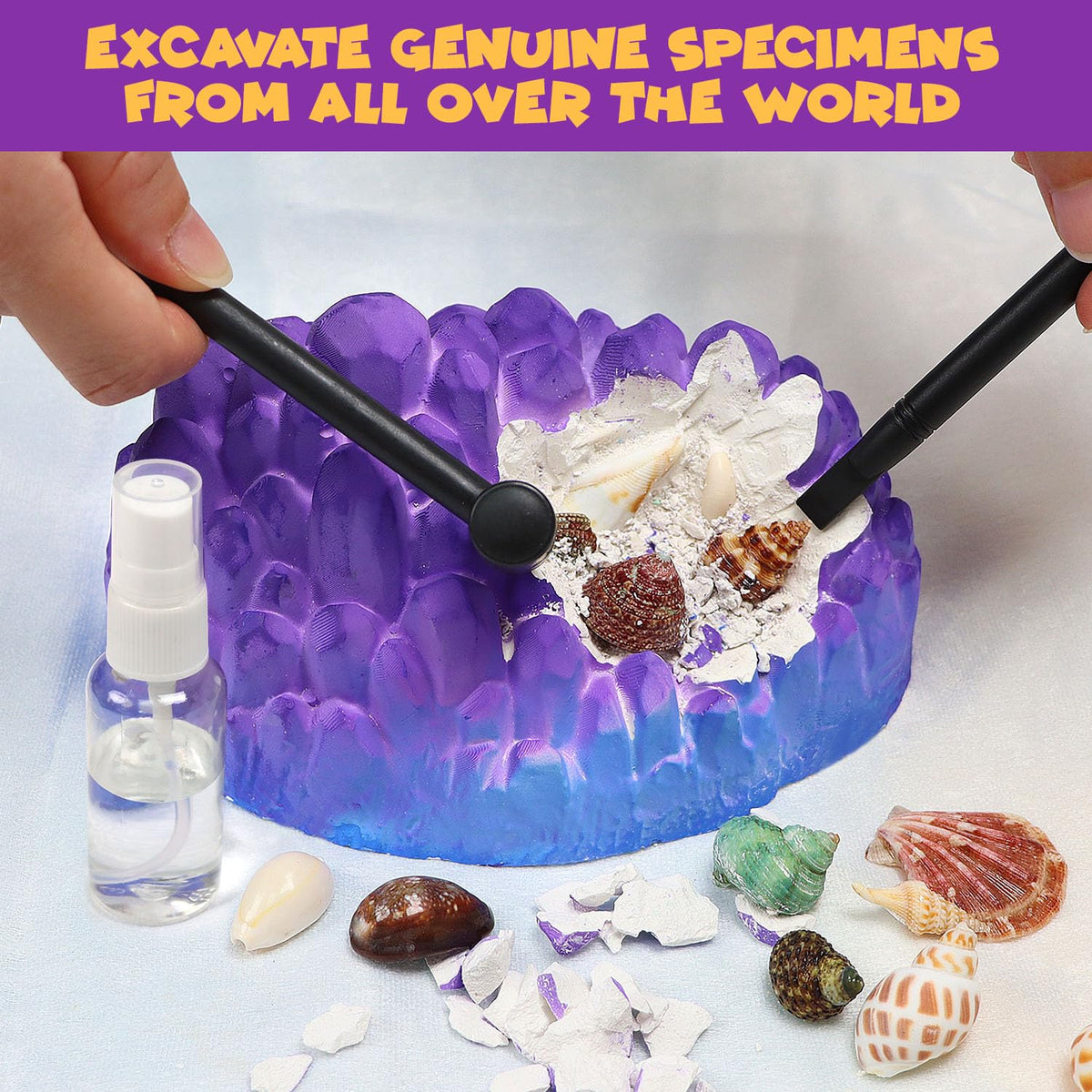 PIBEX learning guide introduces sea animals and ecosystems for curious minds.