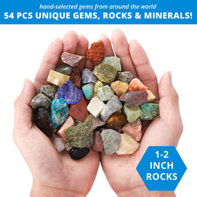 PIBEX mineral display case with transparent lid enables easy sorting and showcase.