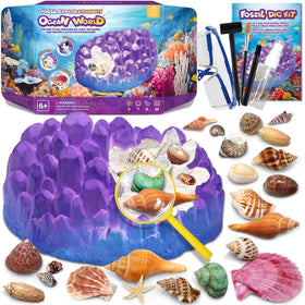 PIBEX Ocean Fossil Dig Kit with coral brick reveals 20+ shells for hands-on exploration.