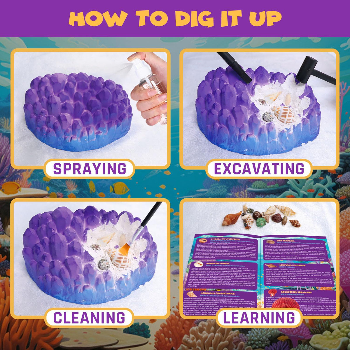PIBEX ocean science kit makes thoughtful gifts for curious young scientists.