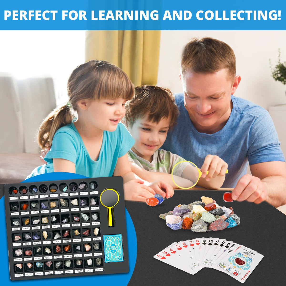 PIBEX raw crystals and minerals array emphasizes variety ideal for learning and collection.