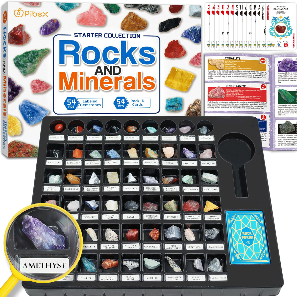 PIBEX rock collection starter kit box showing organized contents for quick setup.