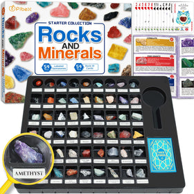 PIBEX rock collection starter kit box showing organized contents for quick setup.