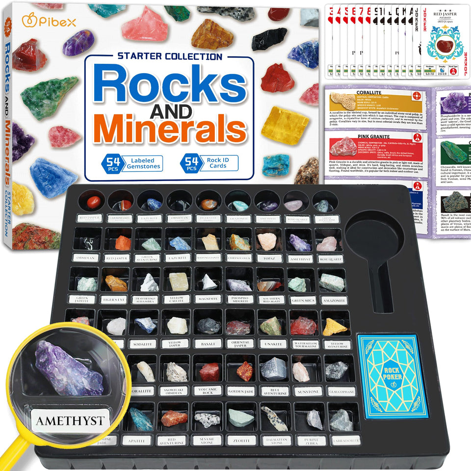 PIBEX rock collection starter kit box showing organized contents for quick setup.
