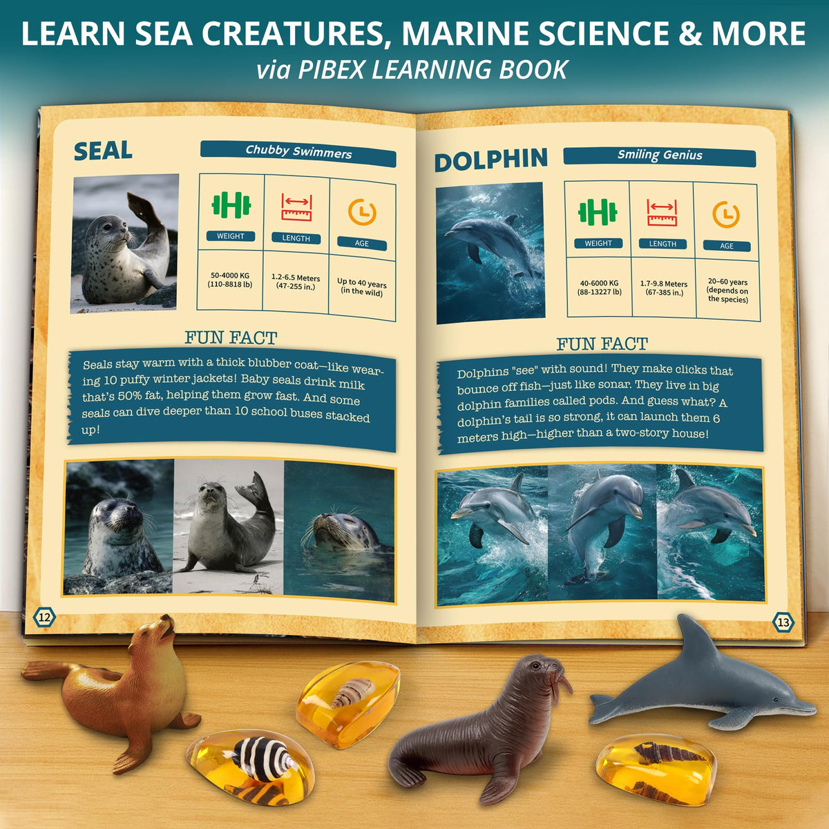 PIBEX Under-The-Sea Dig Kit: magnifying glass for close inspection of find details.