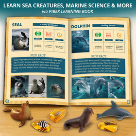 PIBEX Under-The-Sea Dig Kit: magnifying glass for close inspection of find details.