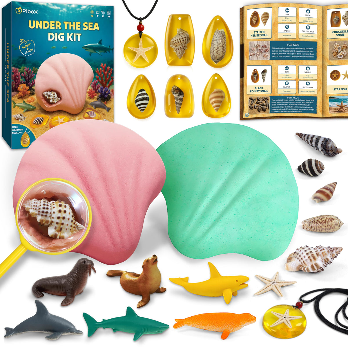 PIBEX Under-The-Sea Dig Kit: shell bricks reveal real fossils for tactile learning.
