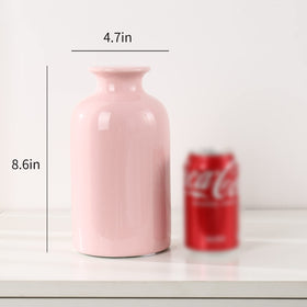 PIG WORLD vase disguise keeps savings hidden within stylish arrangement.