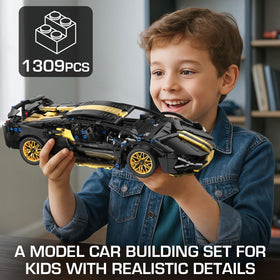 PIKARO model car fully assembled showing black-gold finish for display.