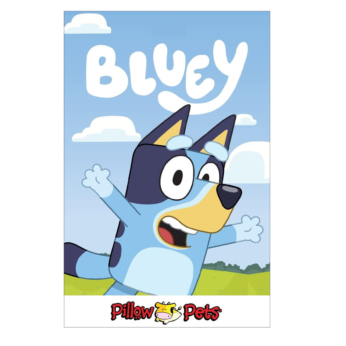 Bluey licensed decor accent adds character to a nursery or room.
