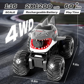 pinkking All-terrain 4WD RC Car handles mud, sand, and grass.