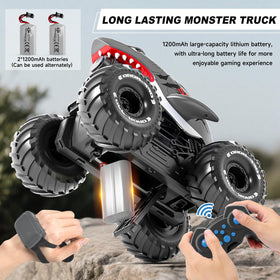 pinkking IPX6 waterproof RC Car and controller for wet play.