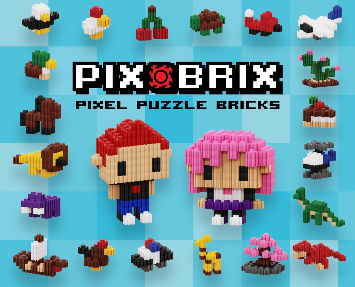 Pix Brix interlocking system close-up explains secure connections.