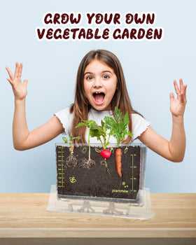 PLANTMEW Root Viewer Kit provides compact, engaging home learning