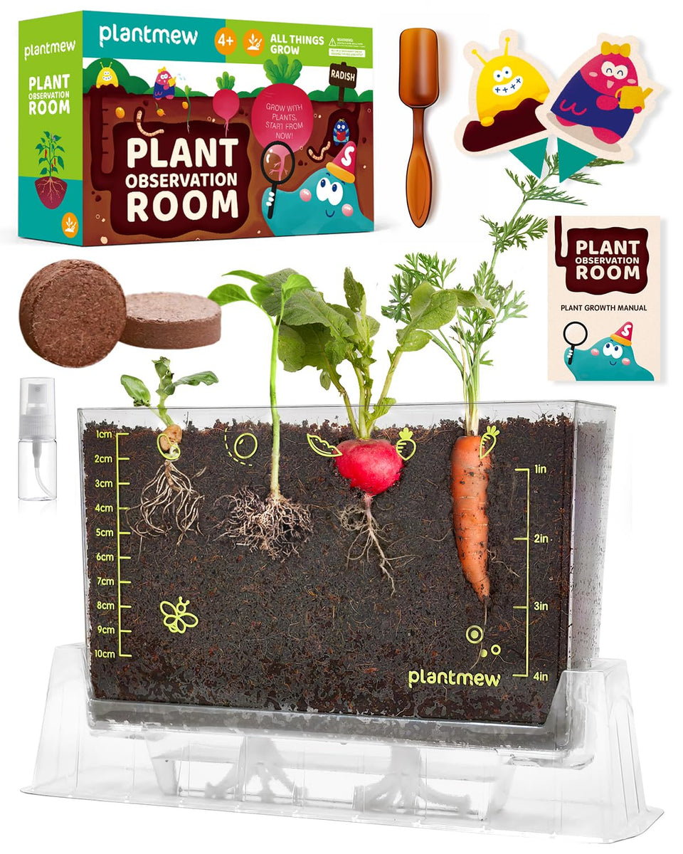 PLANTMEW Root Viewer Kit shows six seed varieties for hands-on science at home